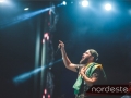 Festeja - NEVIP 107