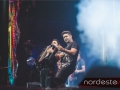 Festeja - NEVIP 115