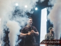 Festeja - NEVIP 158