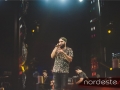Festeja - NEVIP 165