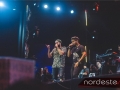 Festeja - NEVIP 179