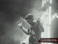 Festeja - NEVIP 185