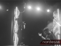 Festeja - NEVIP 186