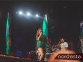 Festeja - NEVIP 311