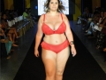DSC07537
